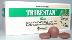 tribestan-300x165.jpg