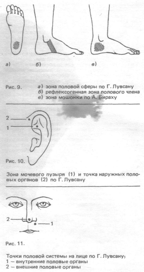 Общеукрепляющие упражнения Общеукрепляющие упражнения и гигиенический самомассаж для мужчин Гаваа Лувсана